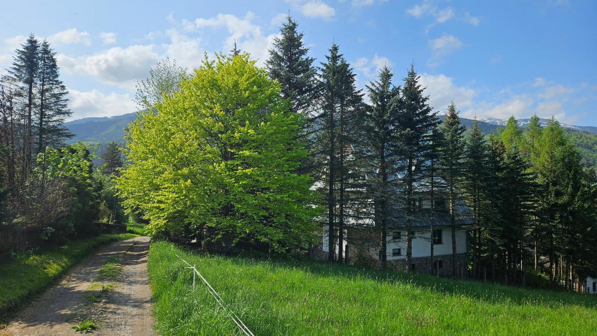 Kalinówka Kościelisko Exterior foto